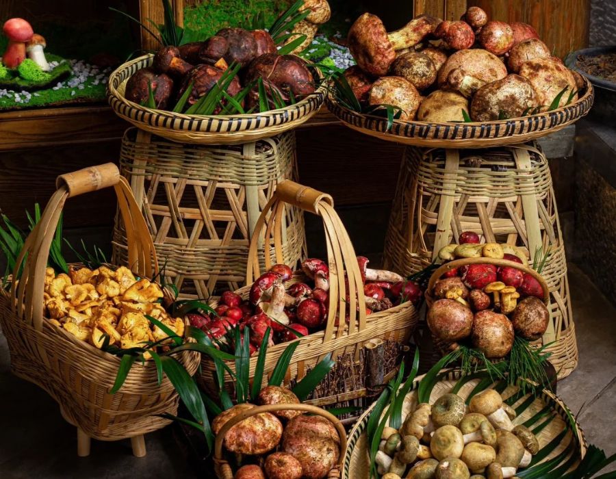Du lịch Vân Nam